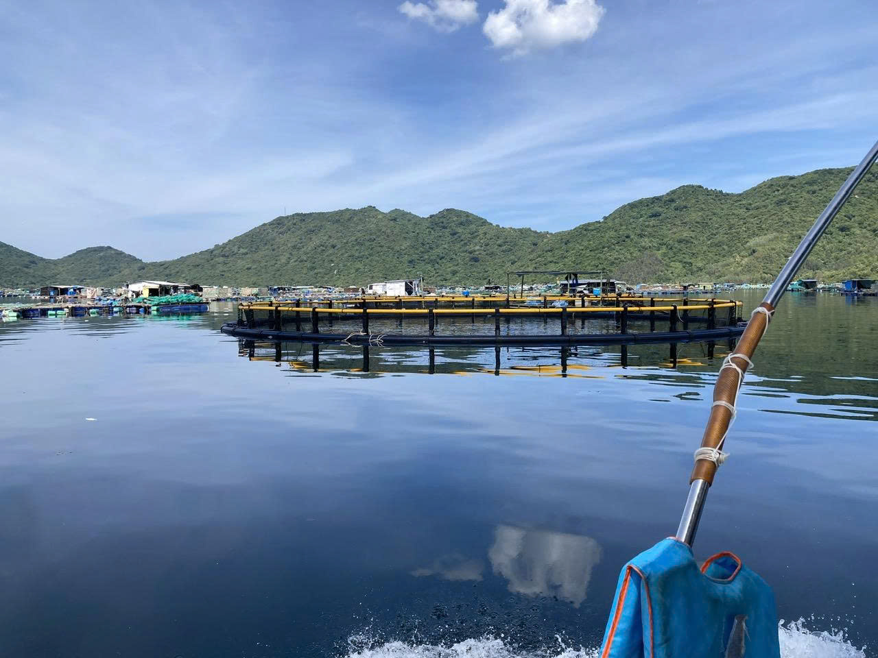 deafeecfeccc609239dd