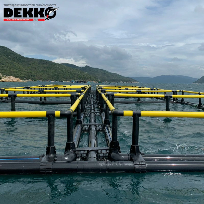 Lồng vu&ocirc;ng ống k&eacute;p (4)