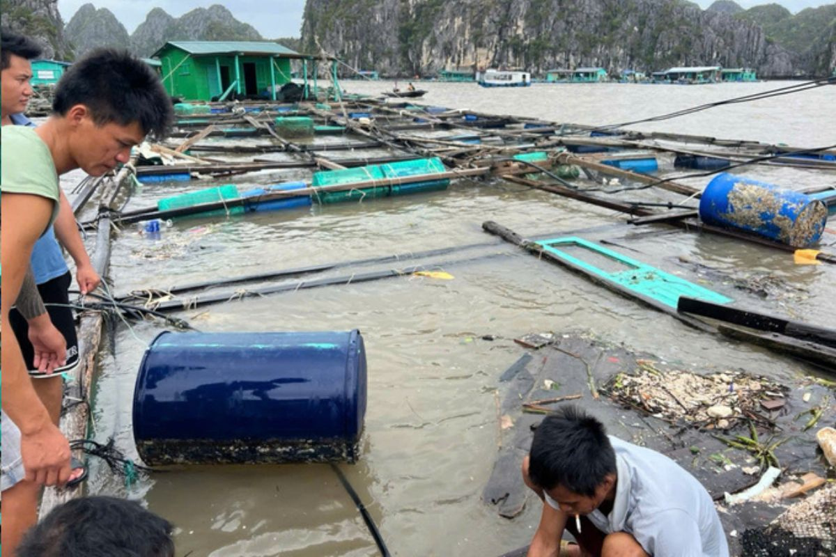 nuoi-long-be (4)_1726456461