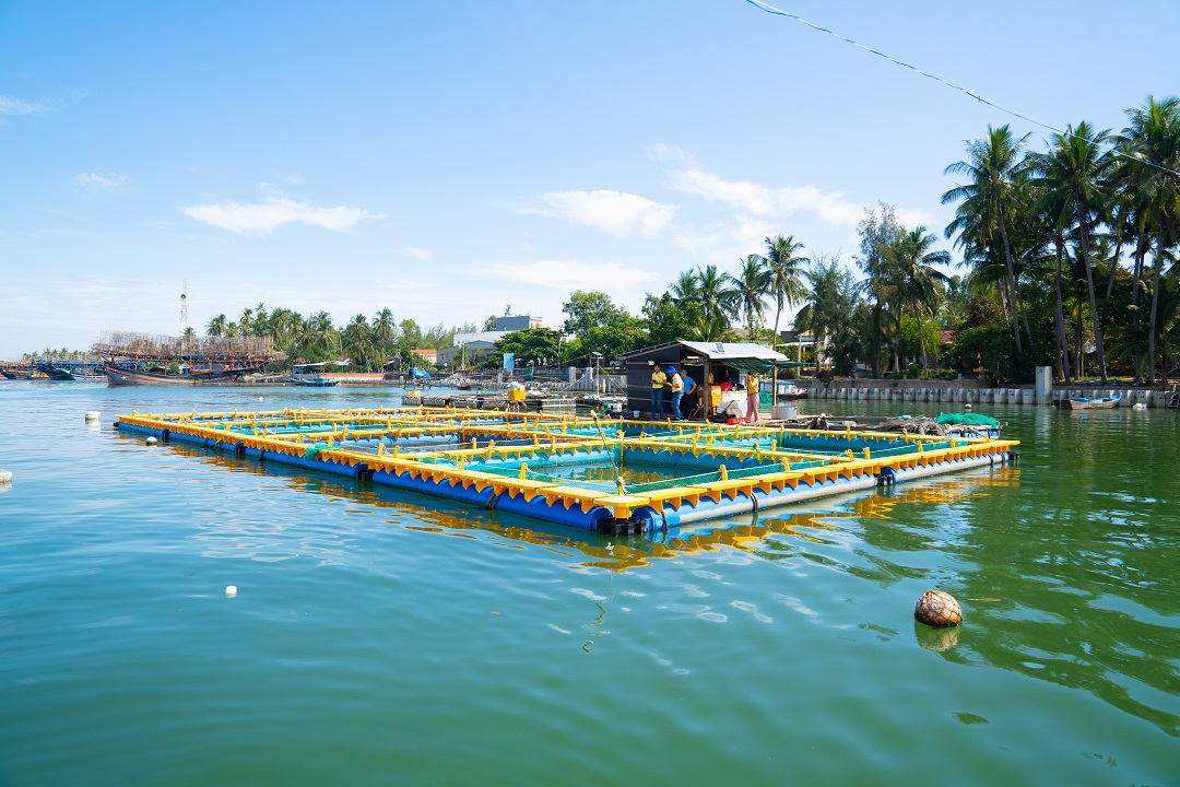 dự án thực tế