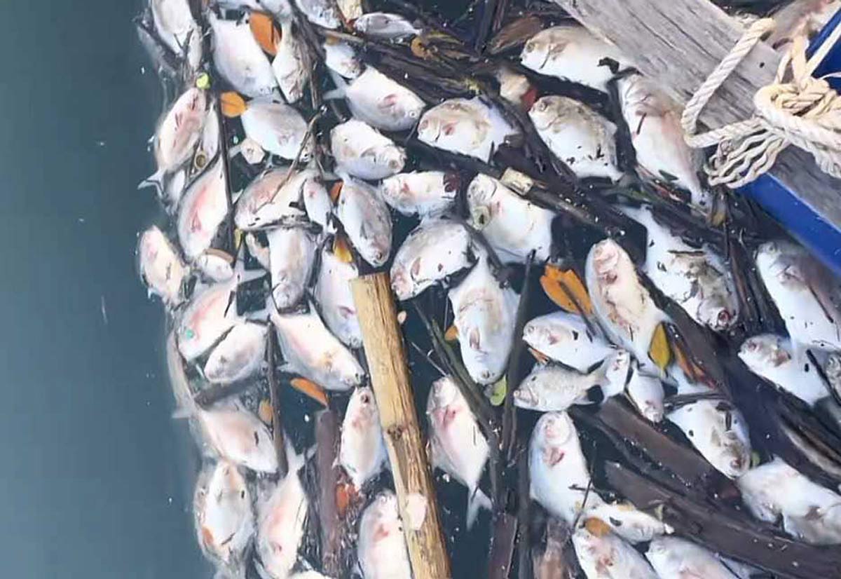 z7138820699330_f8afd-154219_265-172406